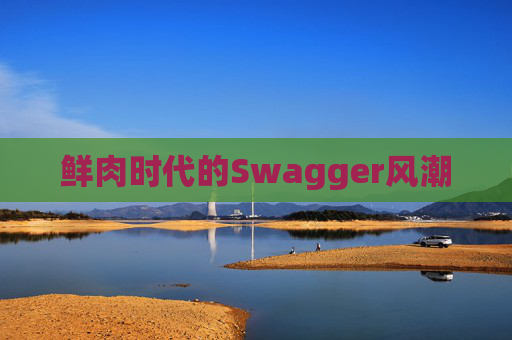鲜肉时代的Swagger风潮